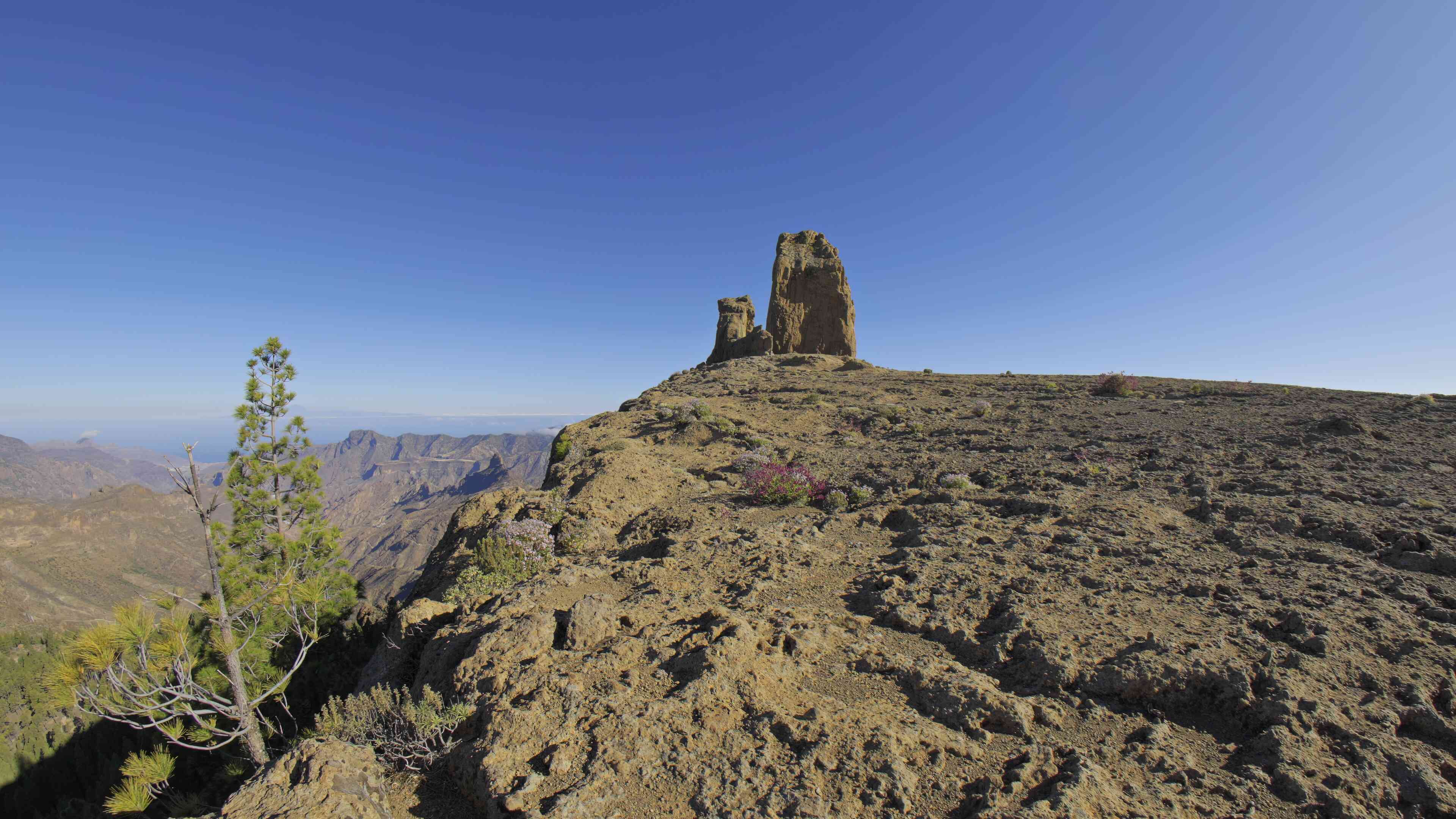 The Heights of Roque Nublo