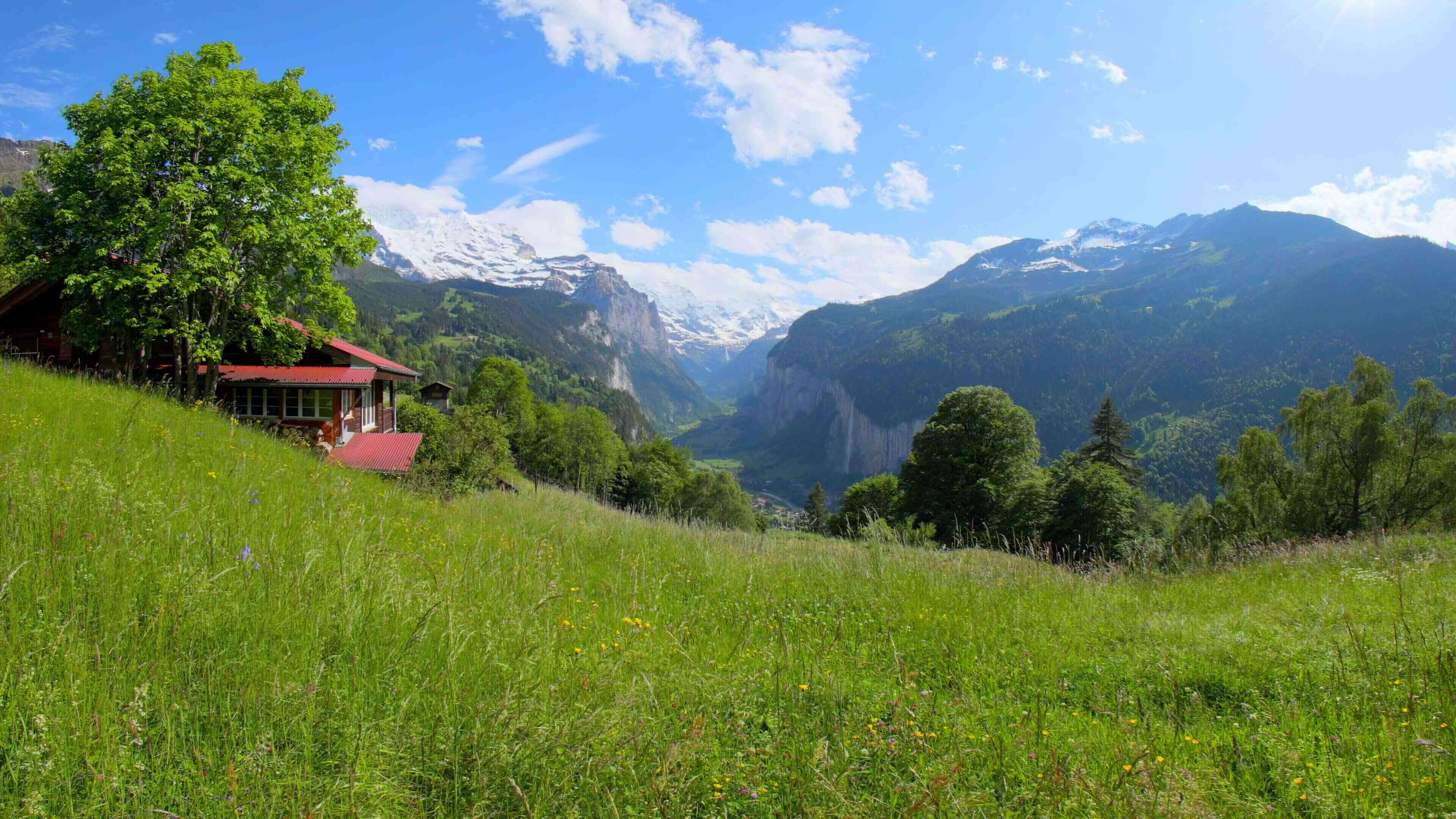 Lauterbrunnen Valley Viewpoint