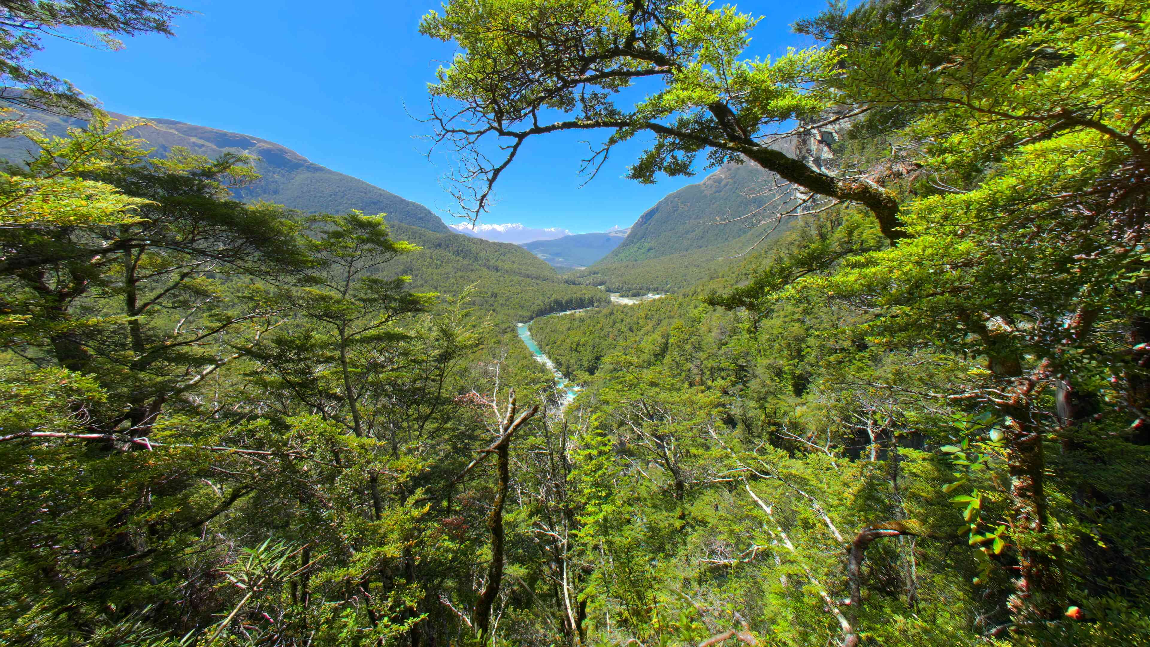 Quiet Valleys and Flowing Rivers