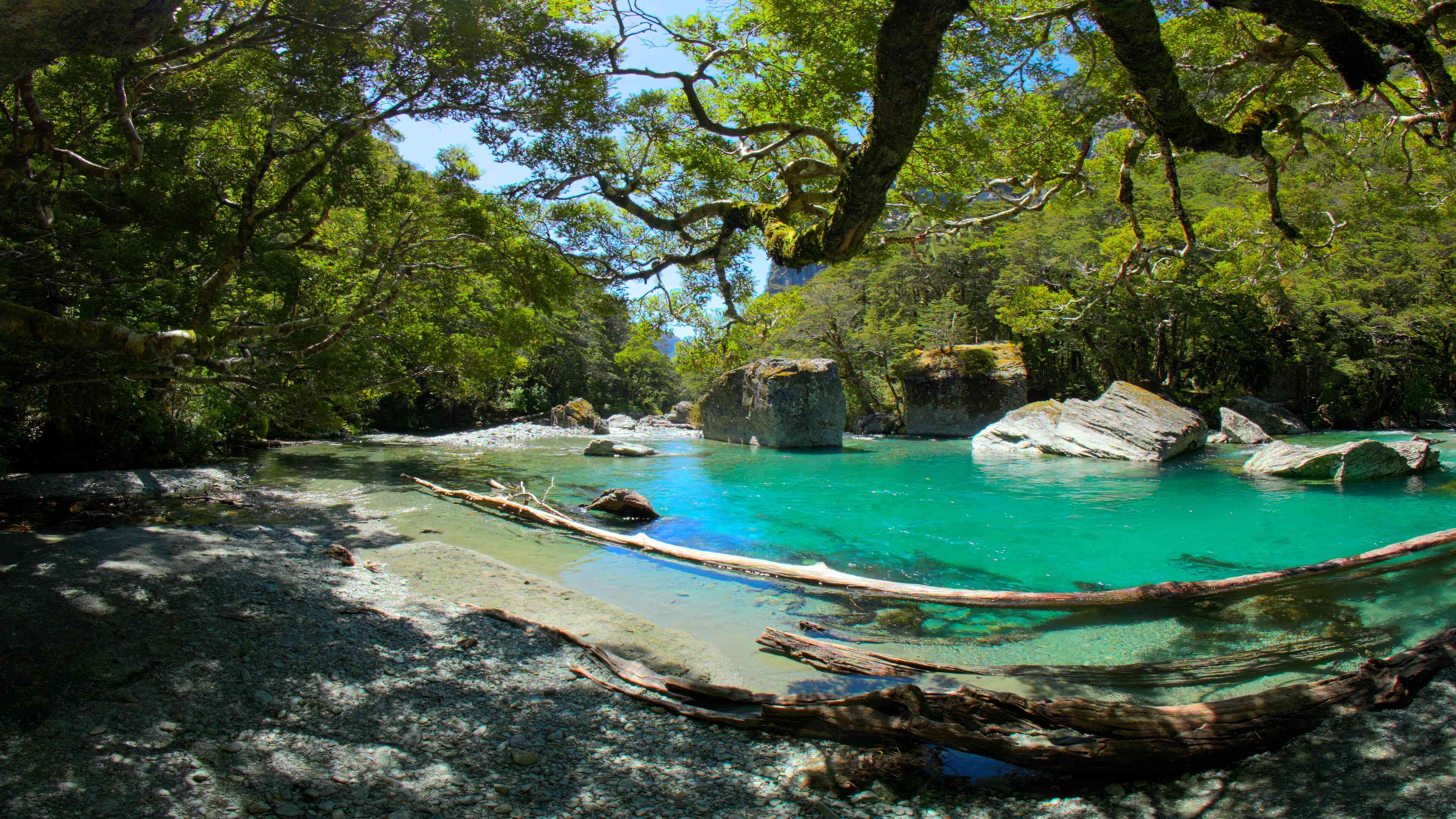 Riverside Relaxation