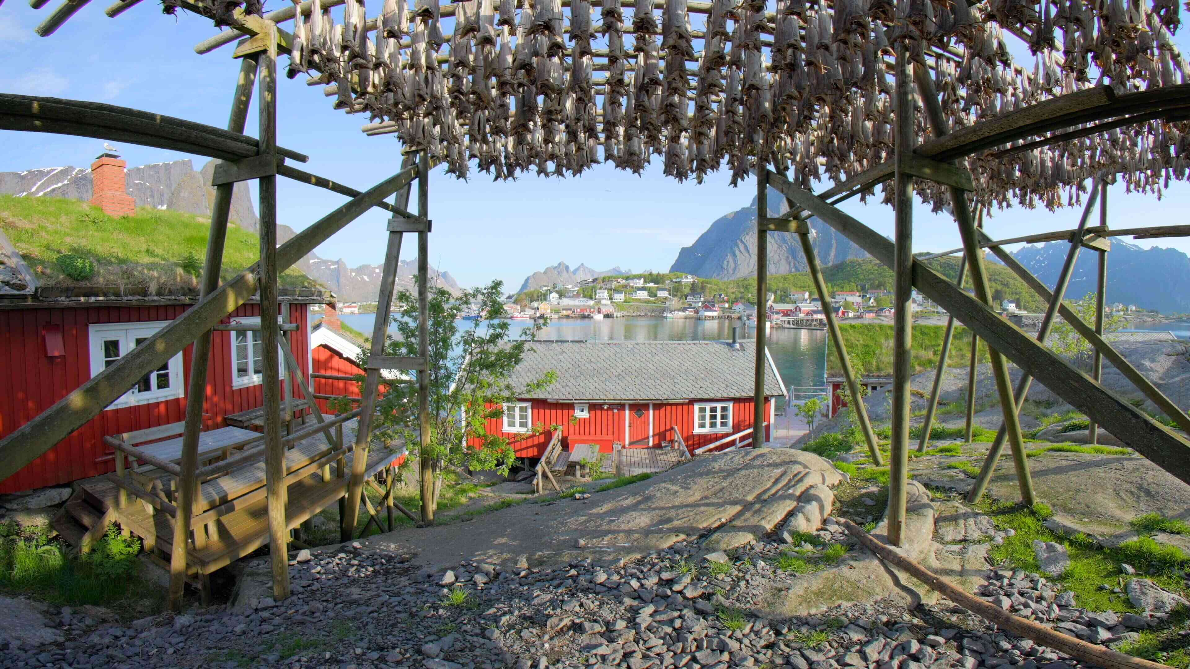 Lofotens Stockfish Tradition