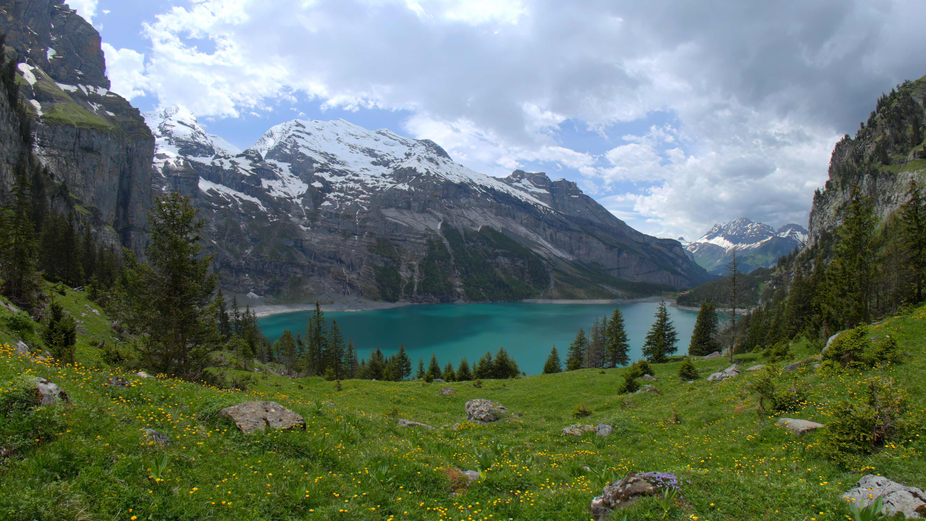 Oeschinen Lake Meadow