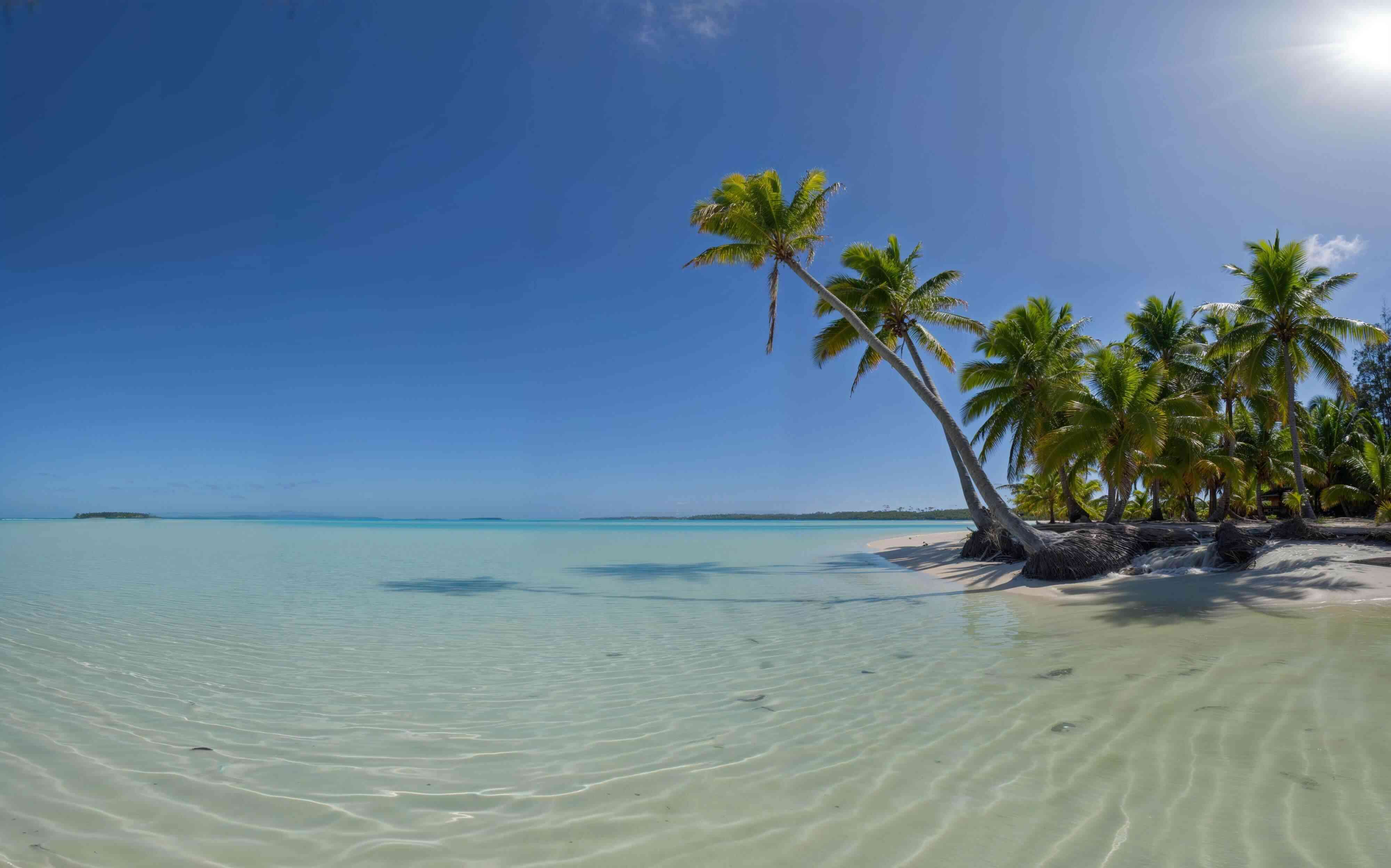 Picture Perfect South Pacific